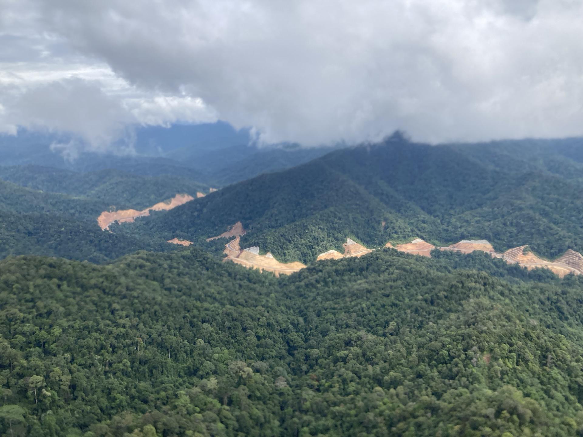 Tropical forest canopy viewed from above for carbon research
